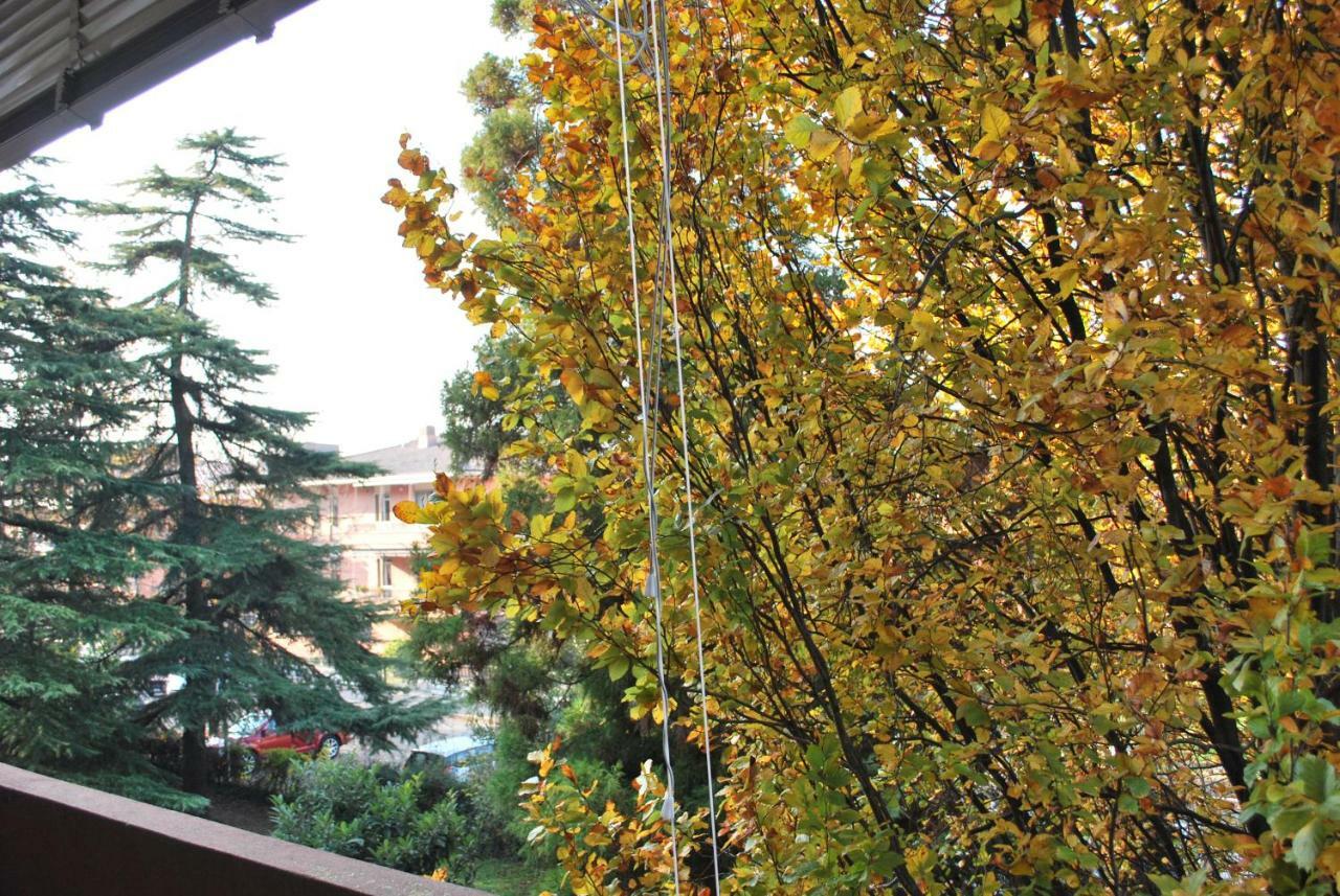 Bed & Breakfast Bio Salix Padova