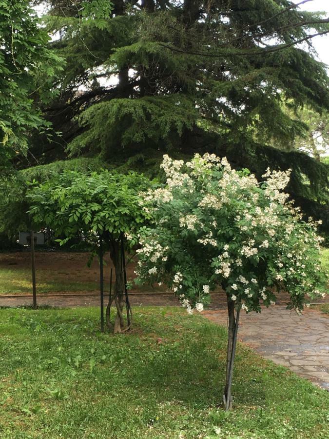 Bed & Breakfast Bio Salix